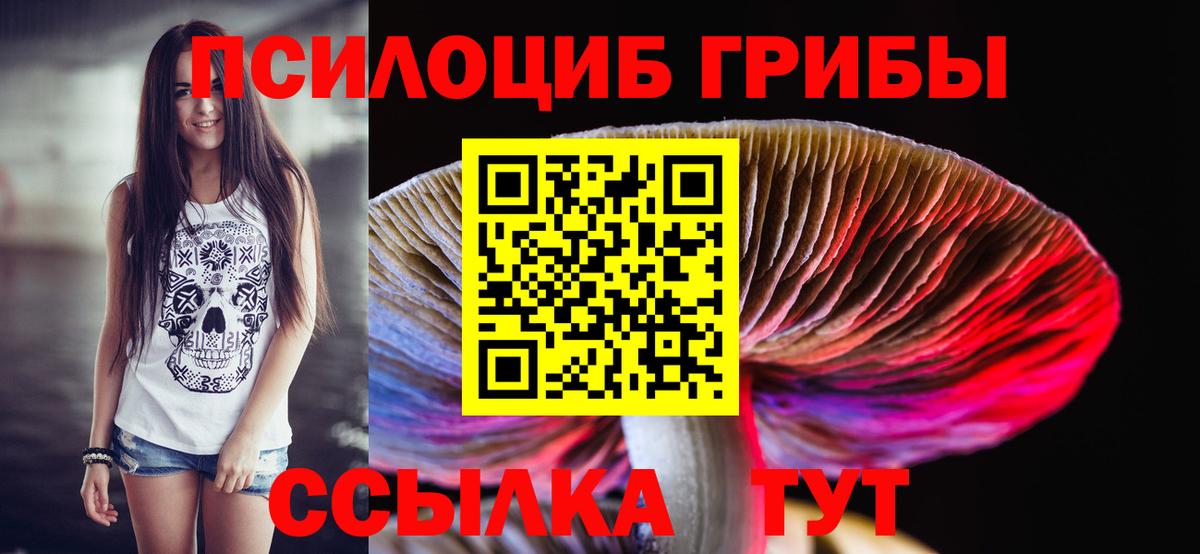 Галлюциногенные грибы GOLDEN TEACHER  Вход с VPN  Знаменск 
